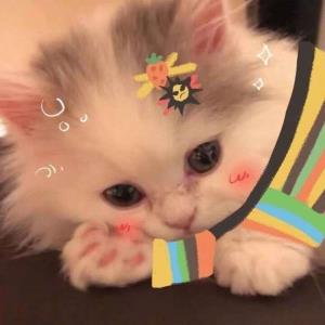 生命的火花