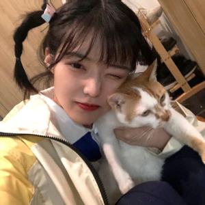 玉鸥