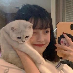 玉怜