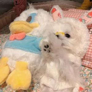 云开见月明