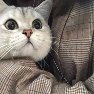 幸福的微笑