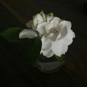小春