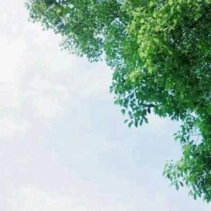 小霞