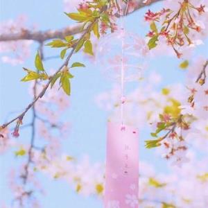 小黄瓜