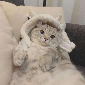 快乐之源