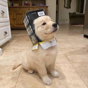 知足常乐