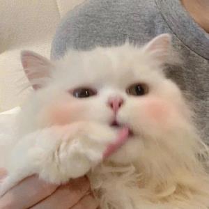 爱的力量