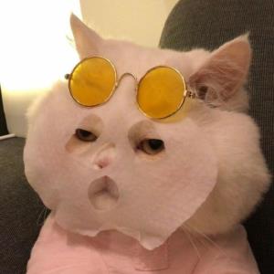 天使之心