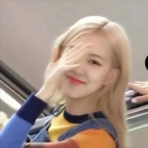 红蝶
