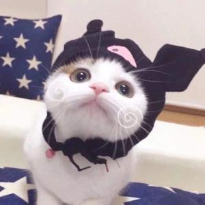 一颗真心