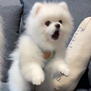 情暖人心