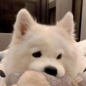 缘来有你