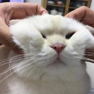 温暖的微笑
