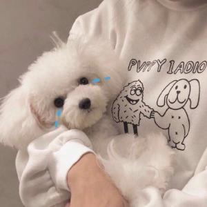 闪闪的星星
