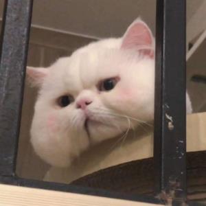 满心欢喜