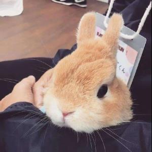 志在成功