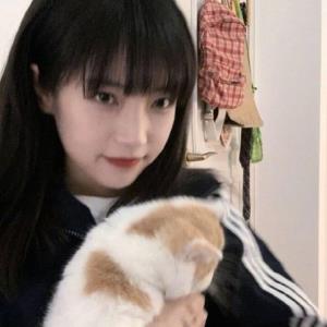 雪妃