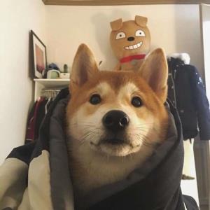 力量无限