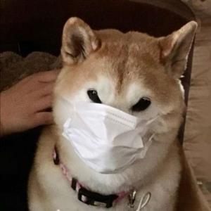心静如水