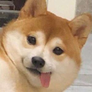 大获成功