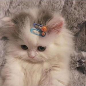 敢于梦想