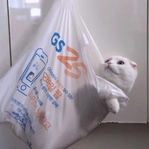 大有作为