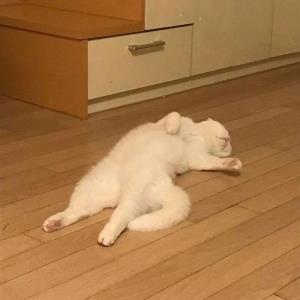 心若明镜