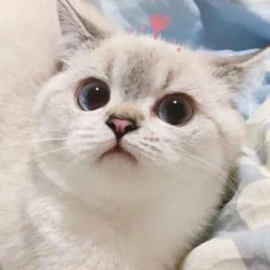 灵魂愉悦