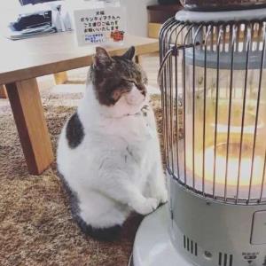 安心立志