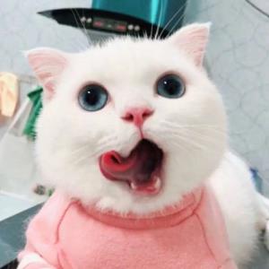 专注进取