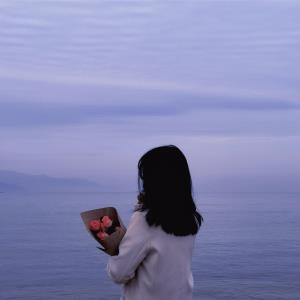 小枫