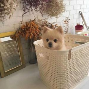 无私奉献