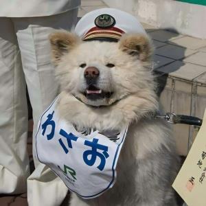 身心健康
