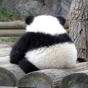 真情相待