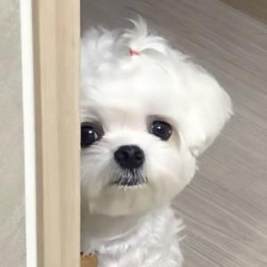 顺风顺水