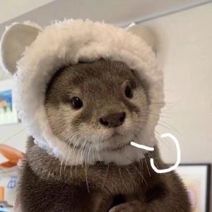 青春无悔