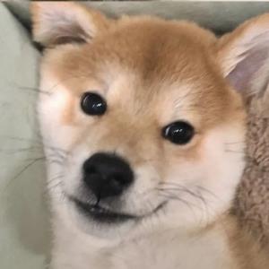 充满活力