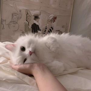 奋斗不息
