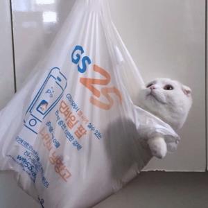 简单幸福