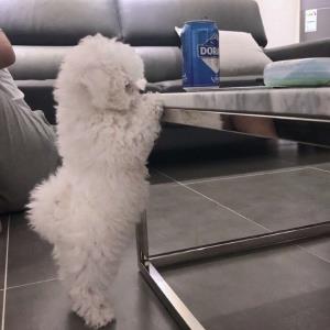 生命不息