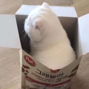 朝气蓬勃
