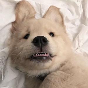 爱与梦想