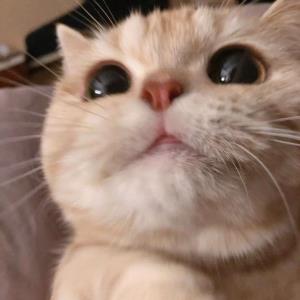 心中有爱