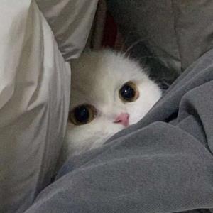 扬帆启航