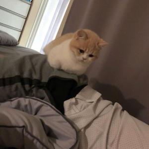 轻言细语