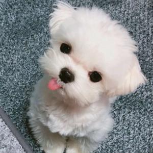 云轻风软