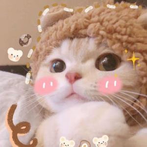 勇敢向前