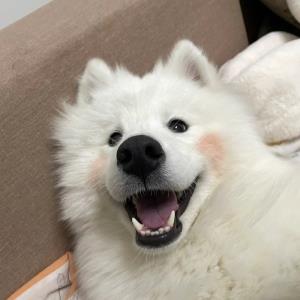 简单的快乐