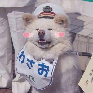 美好的人生