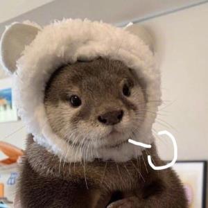 快乐的小世界